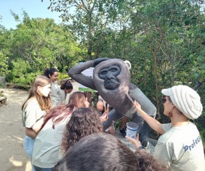 Clube de Geografia ajuda na preservação de animais e plantas no Sul da Ilha