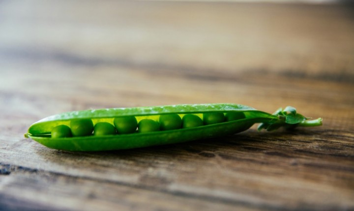 Incluir a proteína vegetal no cardápio proporciona diversos benefícios 