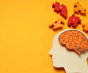 Memórias podem atravessar gerações através dos genes?